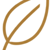 sustainability_icon
